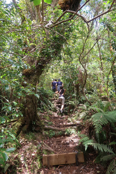 piton_Bebour_13janvier%20(17)