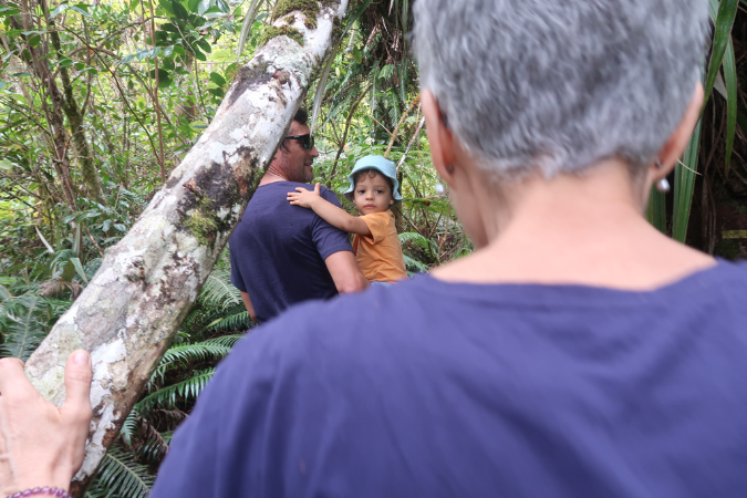 piton_Bebour_13janvier%20(20)