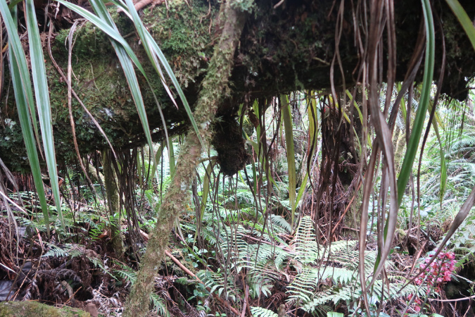 piton_Bebour_13janvier%20(25)
