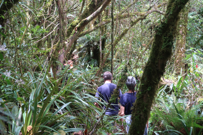 piton_Bebour_13janvier%20(28)