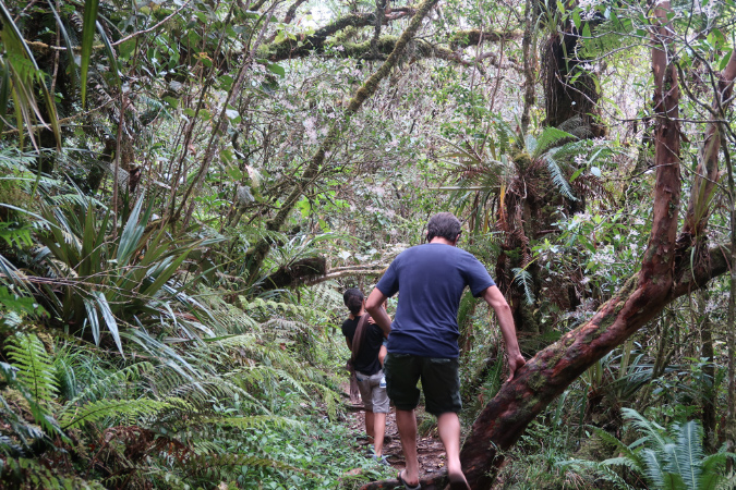 piton_Bebour_13janvier%20(32)