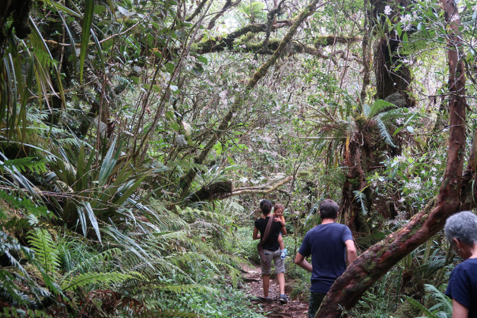 piton_Bebour_13janvier%20(33)