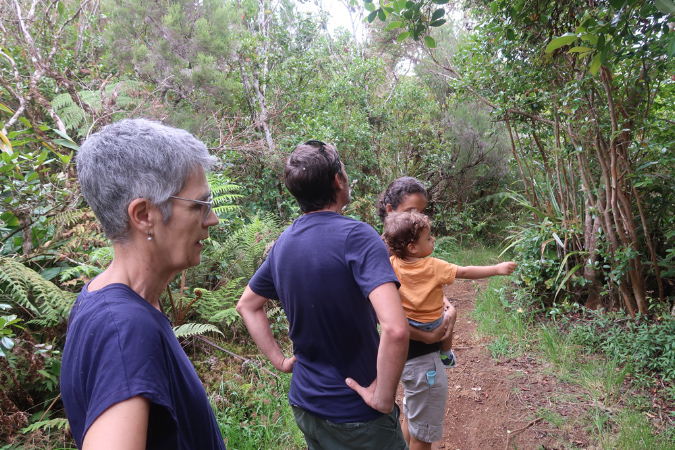 piton_Bebour_13janvier%20(39)