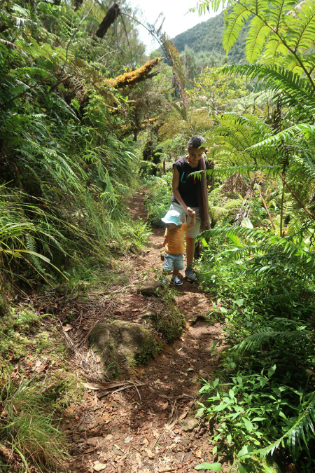 piton_Bebour_13janvier%20(6)