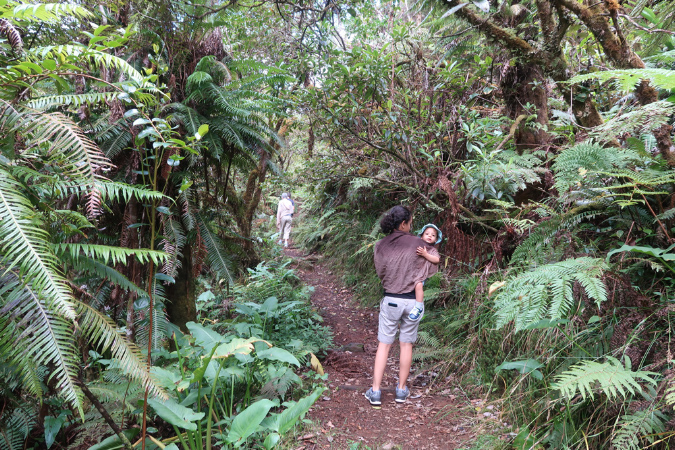 piton_bebour_13janvier