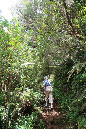 piton_Bebour_13janvier%20(12)
