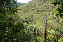 piton_Bebour_13janvier%20(14)