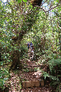 piton_Bebour_13janvier%20(17)