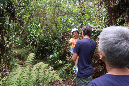 piton_Bebour_13janvier%20(18)