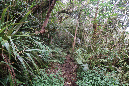 piton_Bebour_13janvier%20(27)