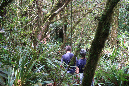 piton_Bebour_13janvier%20(28)