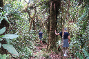 piton_Bebour_13janvier%20(30)