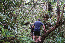 piton_Bebour_13janvier%20(32)