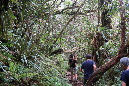 piton_Bebour_13janvier%20(33)