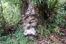 piton_Bebour_13janvier%20(41)