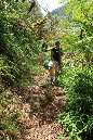 piton_Bebour_13janvier%20(6)