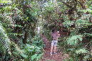 piton_bebour_13janvier