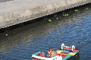 Reunion_juin2019_%20(65)