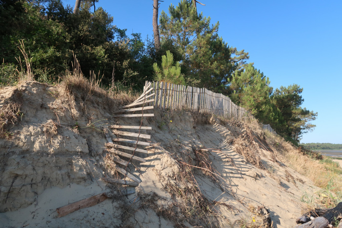 Ronce_17juillet2019_%20(10)