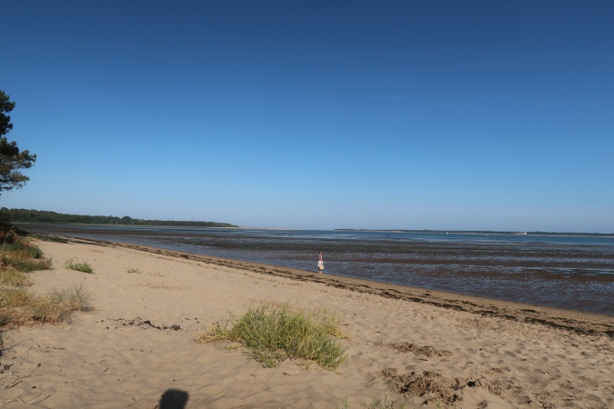 Ronce_17juillet2019_%20(11)