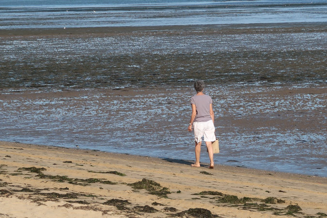 Ronce_17juillet2019_%20(13)