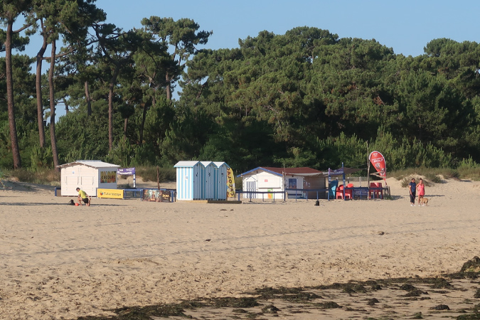 Ronce_17juillet2019_%20(2)