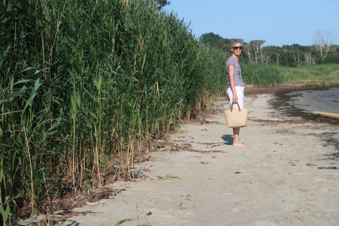 Ronce_17juillet2019_%20(22)