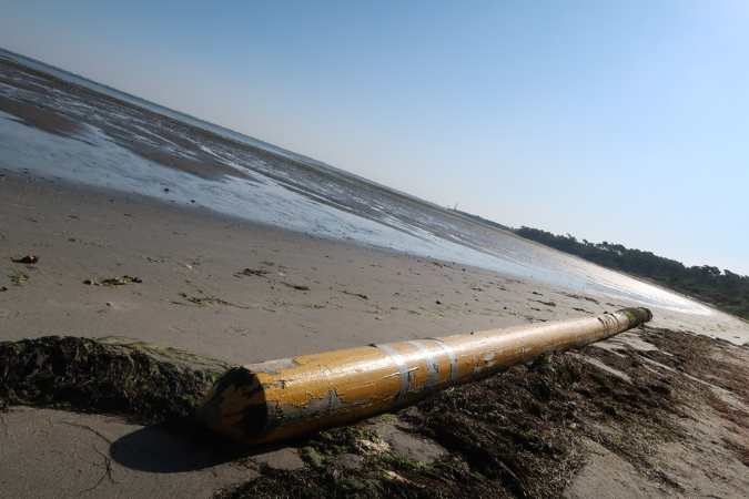 Ronce_17juillet2019_%20(23)