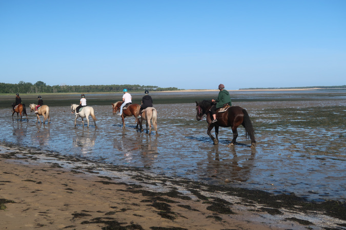 Ronce_17juillet2019_%20(27)