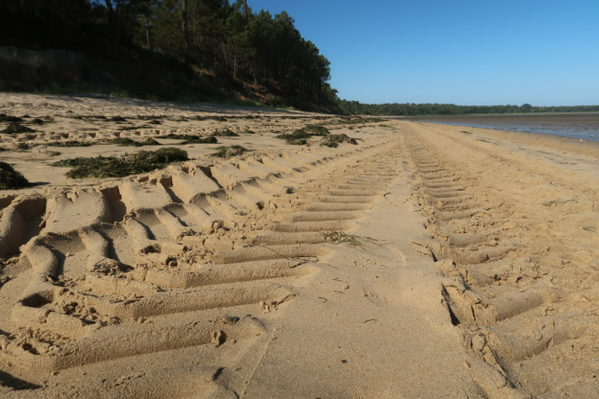 Ronce_17juillet2019_%20(29)