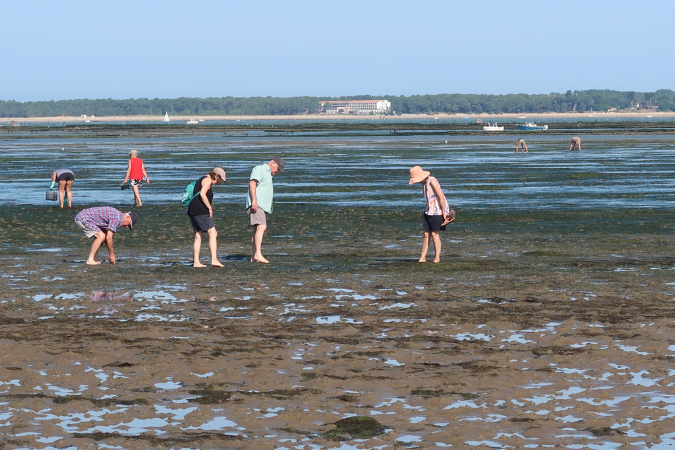 Ronce_17juillet2019_%20(31)