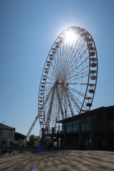 Ronce_17juillet2019_%20(33)