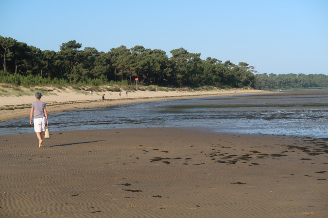 Ronce_17juillet2019_%20(5)