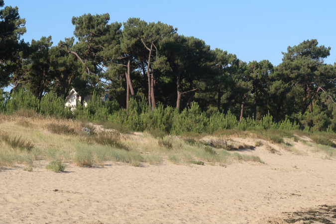 Ronce_17juillet2019_%20(6)