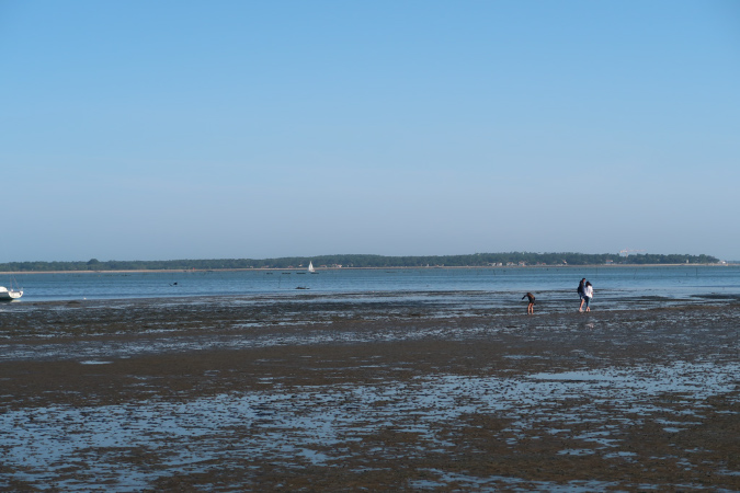 Ronce_17juillet2019_%20(7)