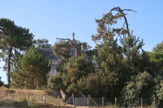 Ronce_17juillet2019_