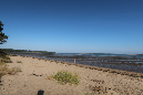 Ronce_17juillet2019_%20(11)