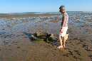 Ronce_17juillet2019_%20(14)