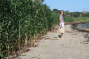 Ronce_17juillet2019_%20(22)