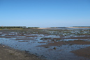 Ronce_17juillet2019_%20(24)