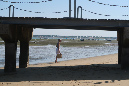 Ronce_17juillet2019_%20(34)
