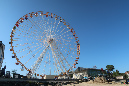 Ronce_17juillet2019_%20(37)