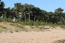 Ronce_17juillet2019_%20(6)