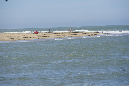 Ronce_11sept19_%20(26)