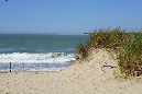 Ronce_11sept19_%20(30)