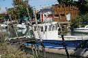 Ronce_11sept19_%20(36)