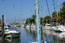 Ronce_11sept19_%20(40)