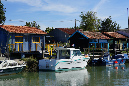 Ronce_11sept19_%20(41)