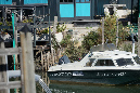 Ronce_11sept19_%20(43)