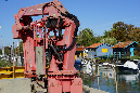 Ronce_11sept19_%20(44)